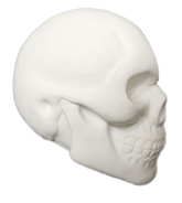 Декорации - Белый череп