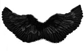 Крылья для костюма - Черные перьевые