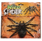 Животные и зверушки - Черный тарантул