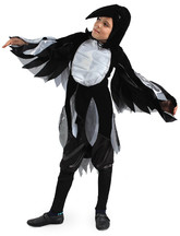 Животные и зверушки - Детский костюм Черного Ворона
