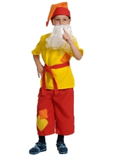 Костюмы для мальчиков - Детский костюм Гнома Скромника