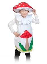 Костюмы для мальчиков - Детский костюм Гриба Мухомора