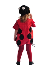 Животные и зверушки - Детский костюм Красной Божьей Коровки