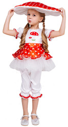 Фрукты и ягоды - Детский костюм Мухомора