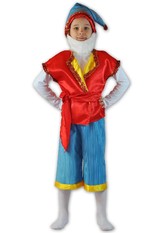Сказочные герои - Детский костюм веселого Гномика