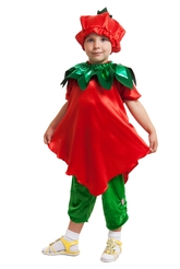 Овощи и фрукты - Детский костюм Земляники