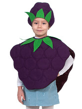 Фрукты и ягоды - Карнавальный детский костюм ежевики