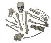 Зомби - Кости скелета 18 шт