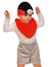 Детские костюмы - Костюм снегиря