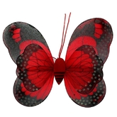 Бабочки - Красные крылья бабочки