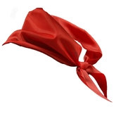 Профессии и униформа - Красный пионерский галстук