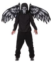 Темные силы - Маска крылья ангела зла