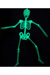 Зомби - Набор из частей скелета Хэллоуин