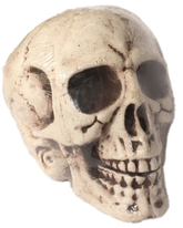 Скелеты и мертвецы - Огромный череп