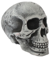 Скелеты - Серый череп