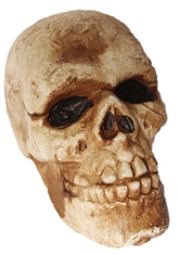 Скелеты и мертвецы - Состаренный череп